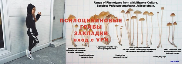 сатива Арсеньев