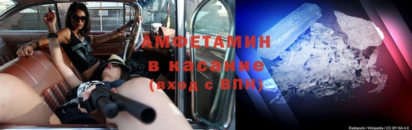 твердый Аркадак