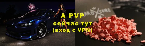 сатива Арсеньев
