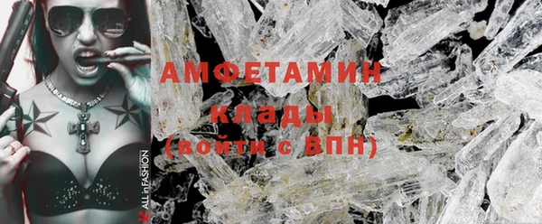 твердый Аркадак