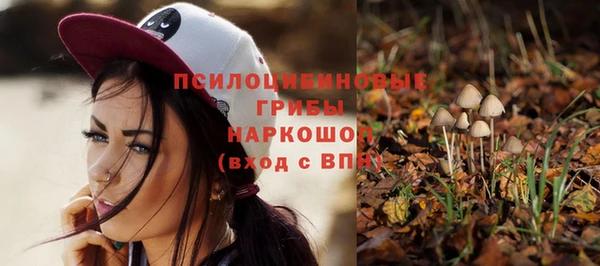 a pvp Армянск
