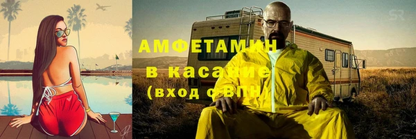 сатива Арсеньев
