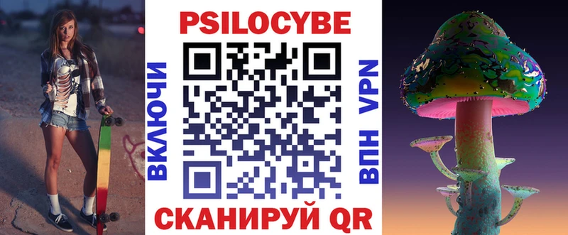 Галлюциногенные грибы Psilocybe Сусуман