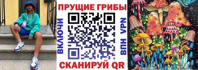 Галлюциногенные грибы Cubensis  купить наркоту  ОМГ ОМГ как войти  Сусуман 