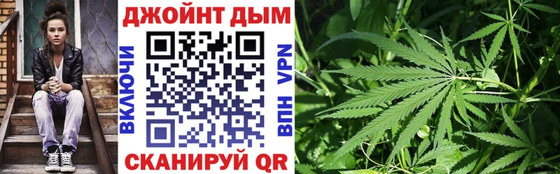 Бошки марихуана сатива  Сусуман 